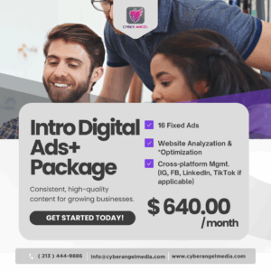 Intro (PLUS) Digital Ads Package (16 Custom Built Fixed Ads)